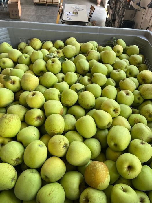 Sarmasag gări 111 FRUCTE ȘI LEGUME EN-GROS