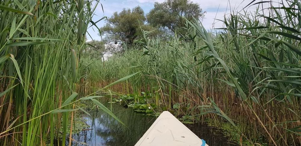 Excursii in Delta Dunarii cu barca