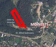 Teren Intravilan 5000mp, Moinesti, Str. M. Sadoveanu