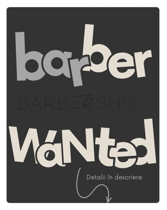 Colaborare frizer/barber, Sector 4