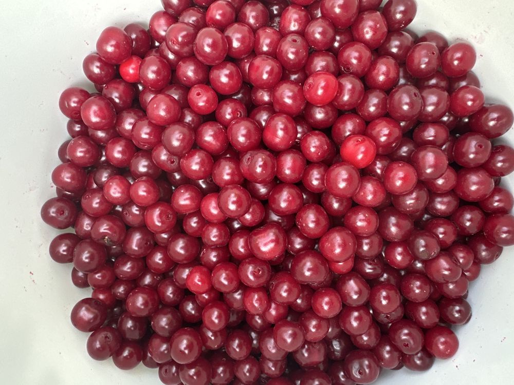 Продам вишню, смородину дачная