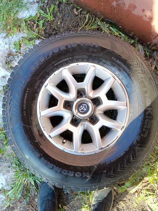 Шины NOKIIAN зимние шипованные