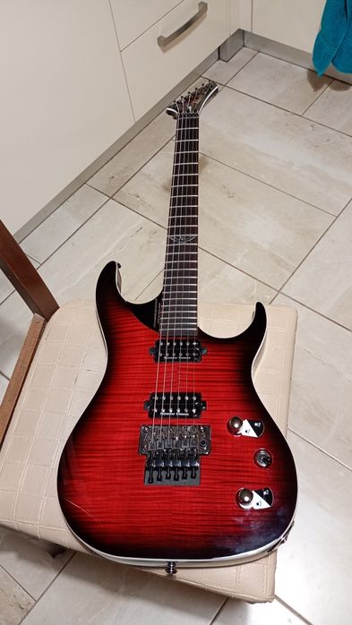 Washburn pxs 10!!!