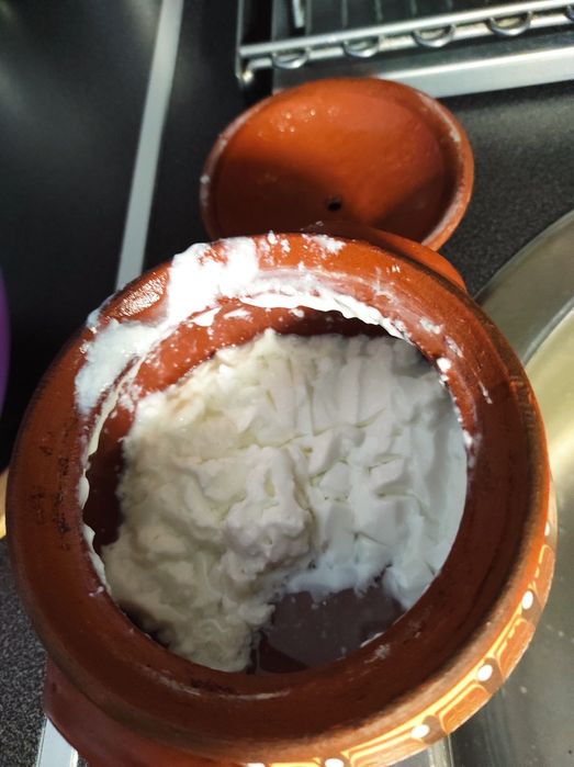 Ciuperca tibetana Tibet kefir lapte super bio