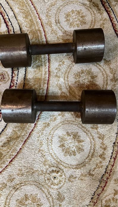 Гантели две, по 10 кг.