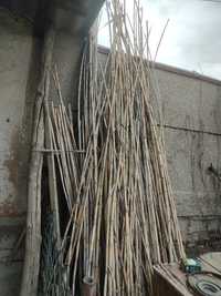 Стебли бамбука для ландшафтного дизайна