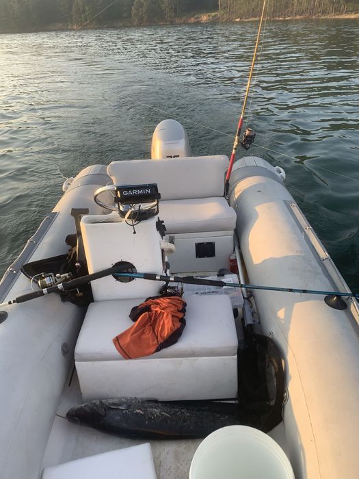 Продавам лодка риб LOMAC с двигател хонда