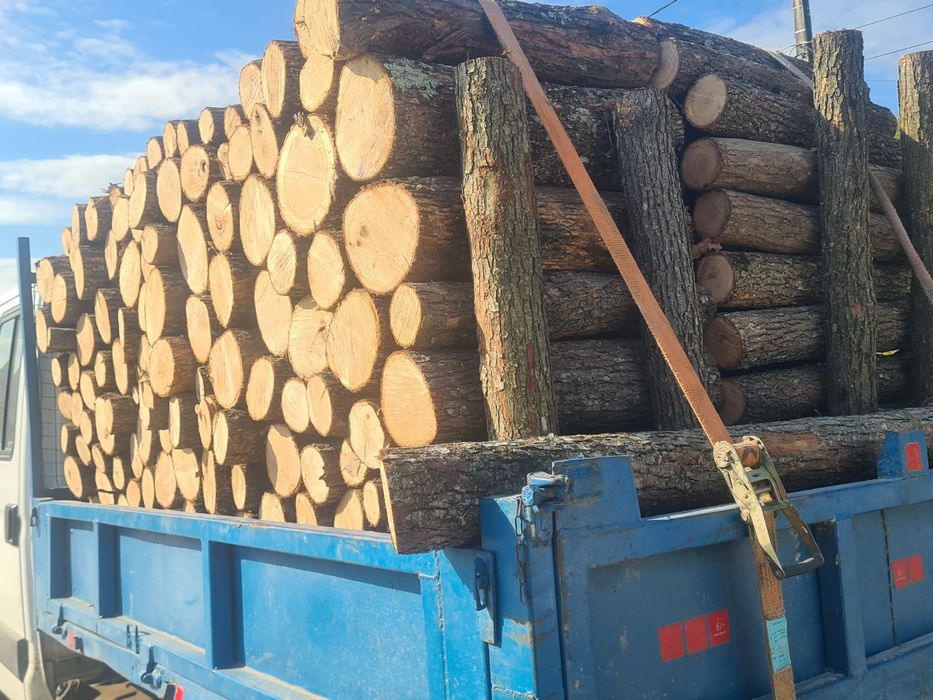 Vând lemne transport gratuit