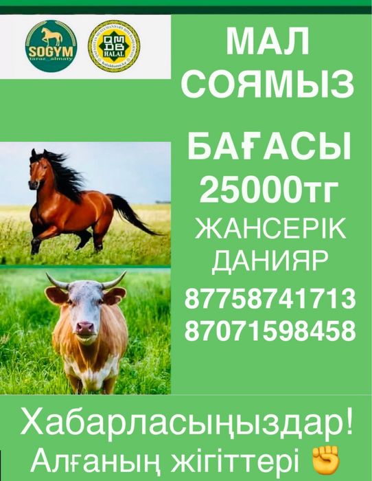 Мал соямыз 25000тг,