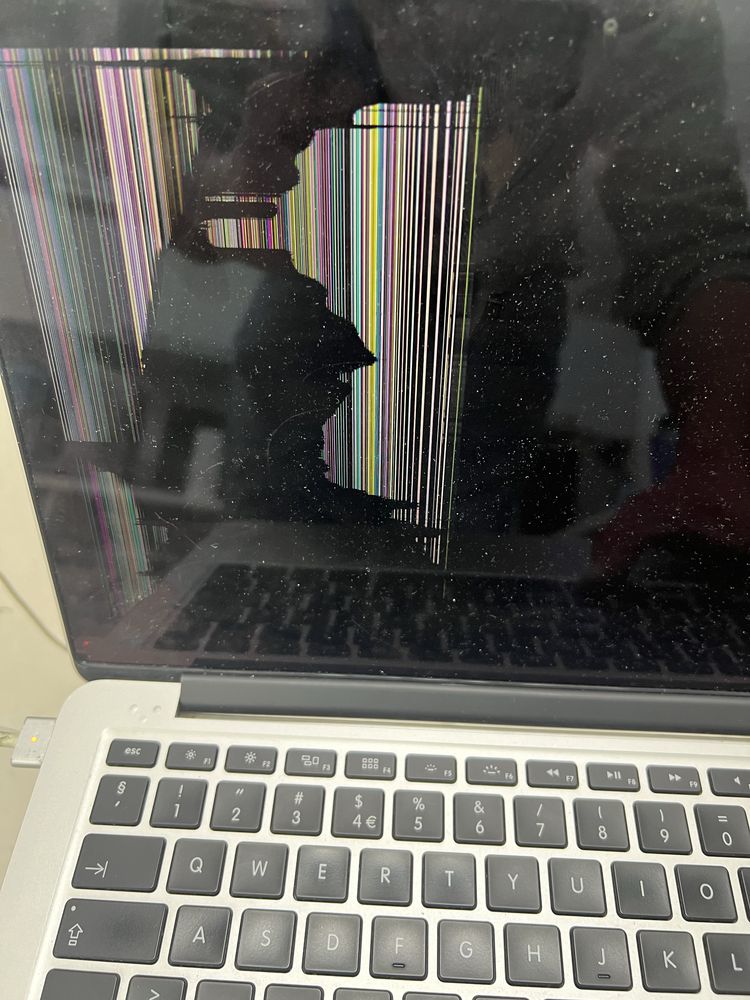 Apple Macbook a1502 ecran defect!!!