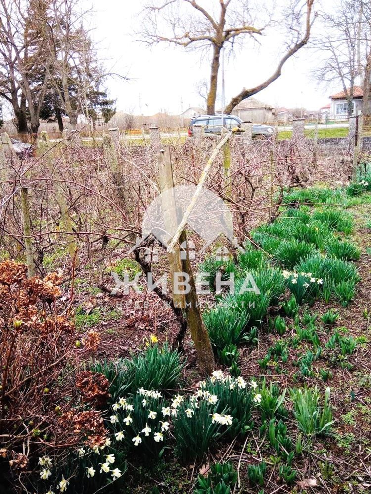 Продава се Къща в с. Соколово, Област Добрич - 111 кв.м за 451 €/кв.м - Снимка #4