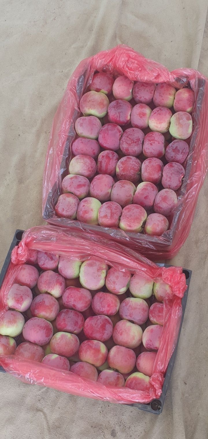 Chang olma haladilnikda sovugan 1haftadan beri