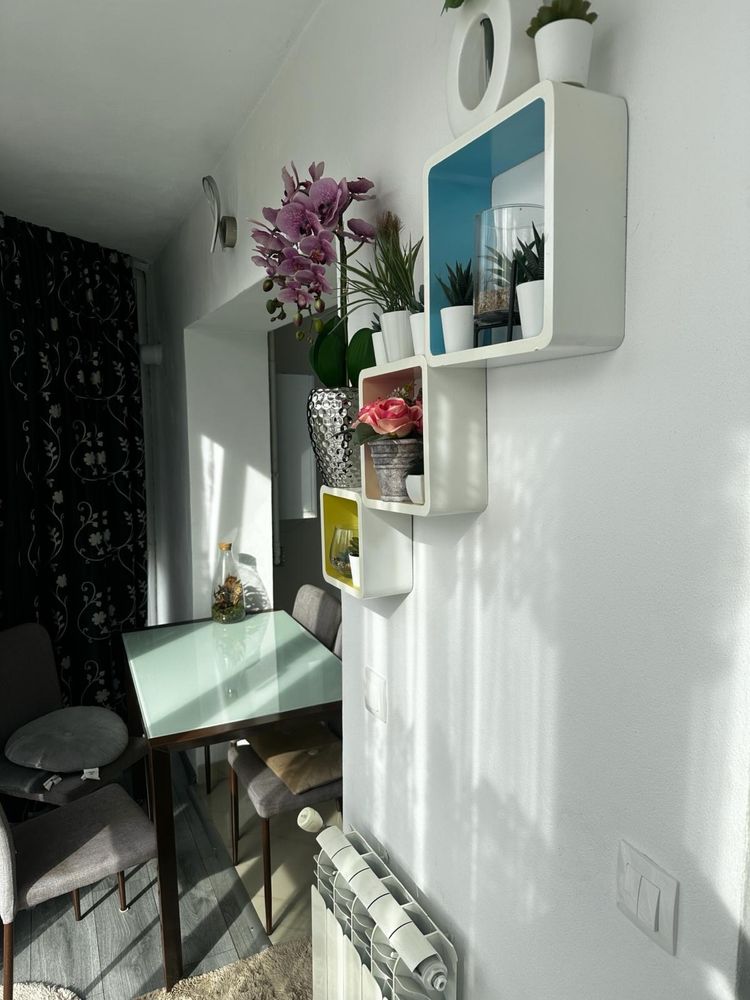 apartamente de inchiriat jibou