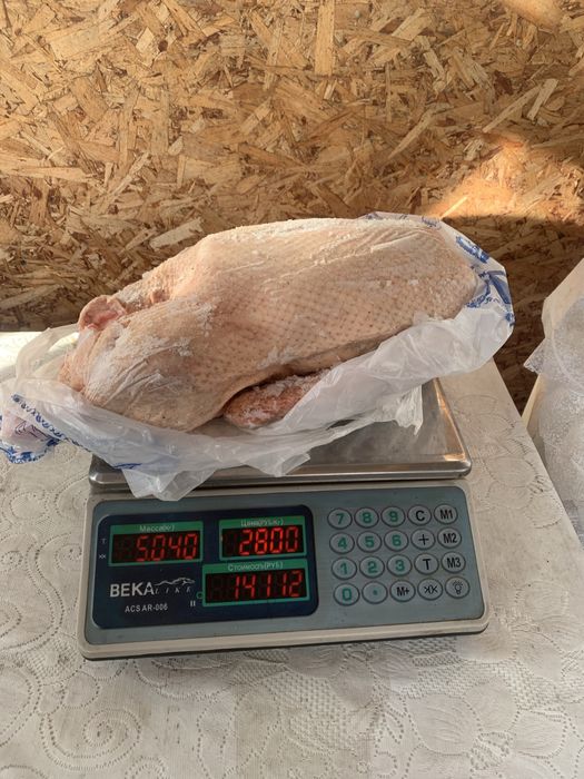 продам тушки гусей
