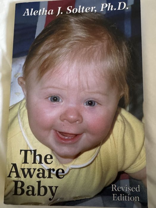 Cartea The Aware Baby