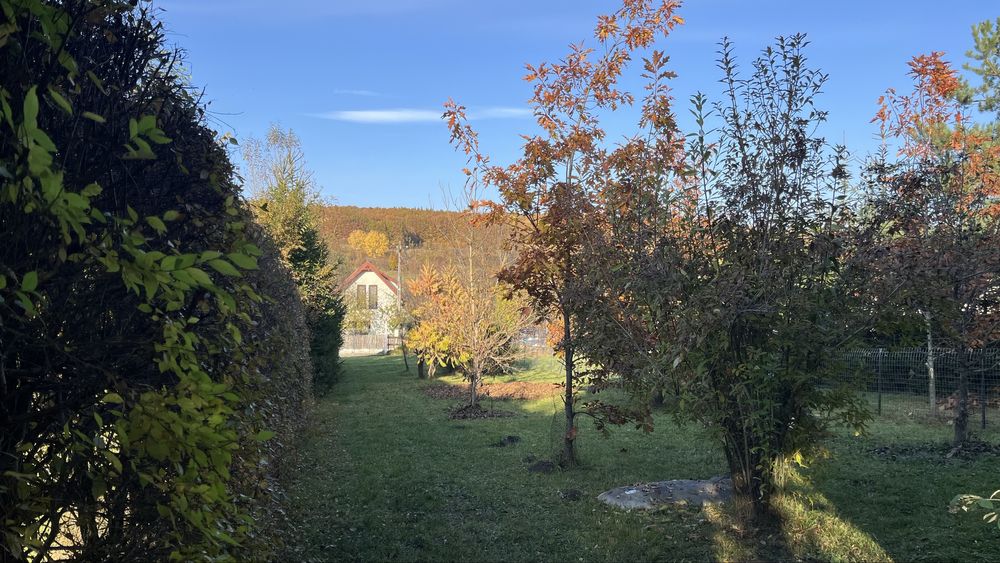 Casa/cabana de vacanta cu teren (proprietar)