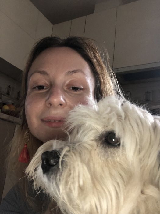 Cazare animalute de companie