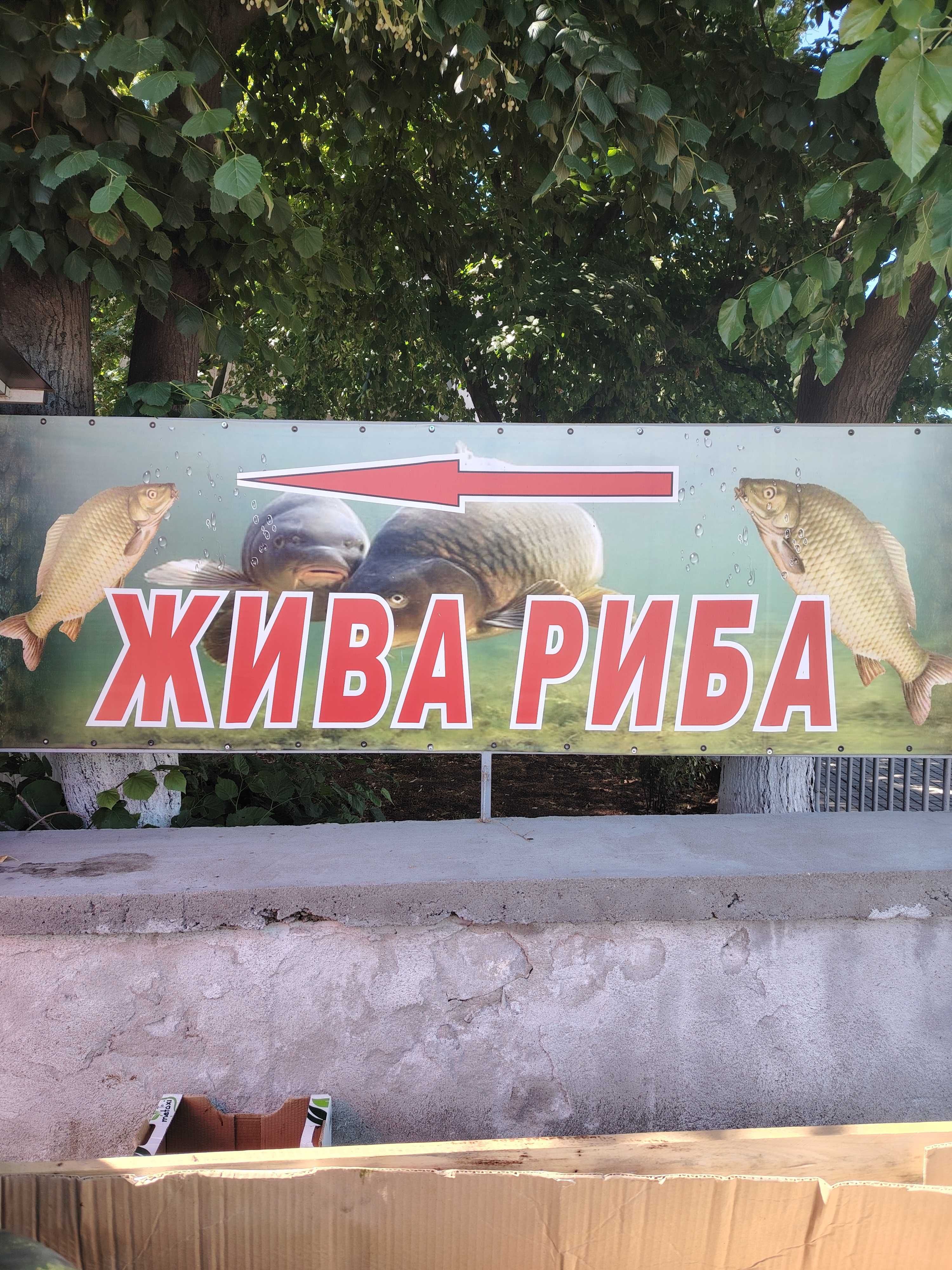 Продавам 3 бидона за жива риба