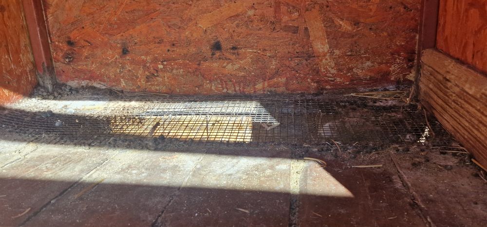 Iepuri 12 boxe pentru diverse rase