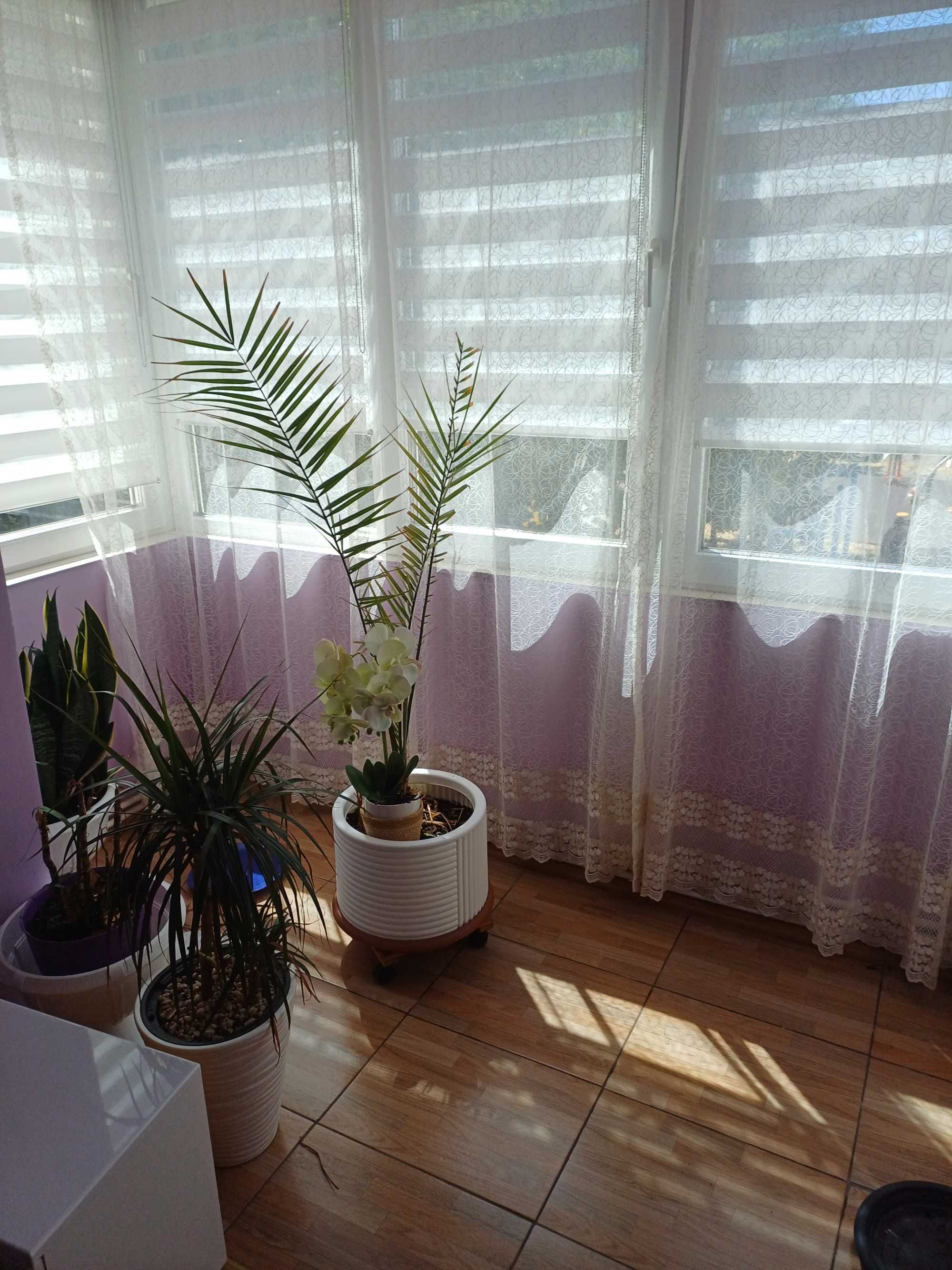 Apartament de vazare 54mp eta1
