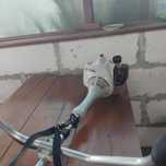 Motocoasa Stihl FS 55