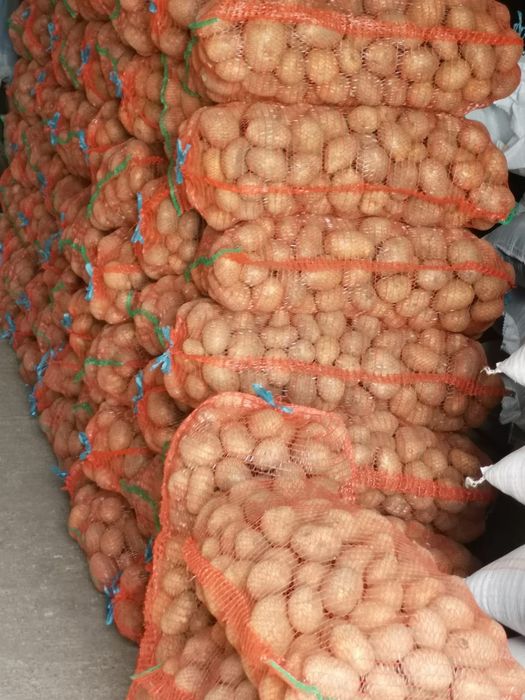 Cartofi albi și roz pentru consum