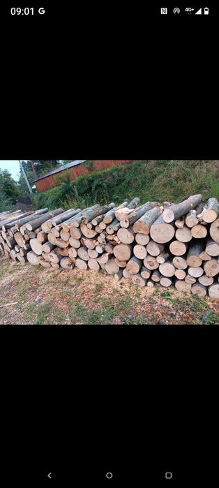 Vnd lemne de foc fag de fabrică