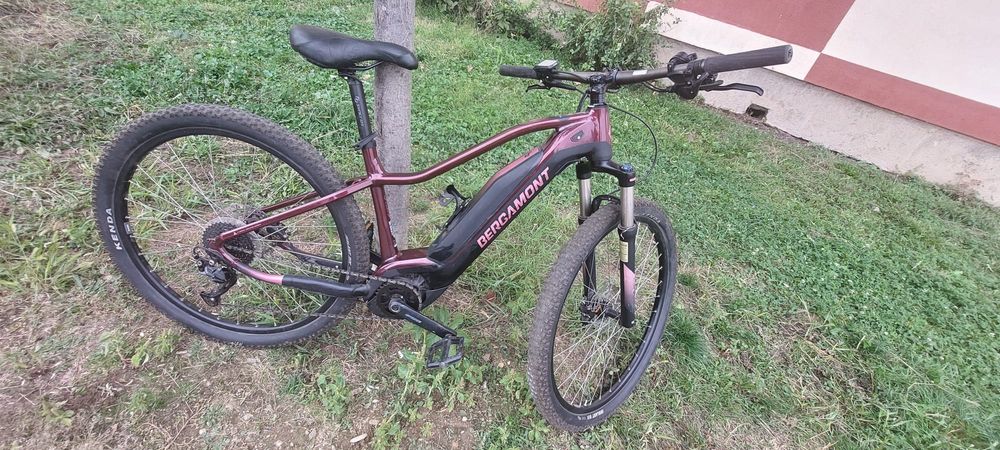 Bicicleta electrica