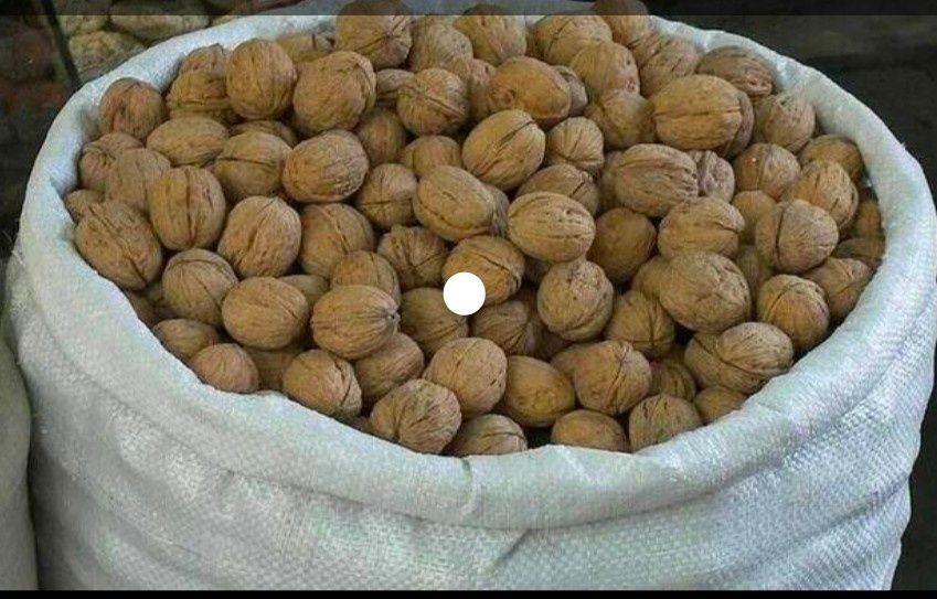 Грецкий орех продается свежая