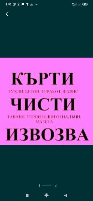 Кърти чисти извозва Плевен