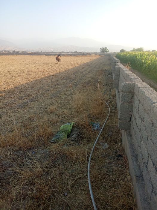 Yer sotiladi 60 sotix.