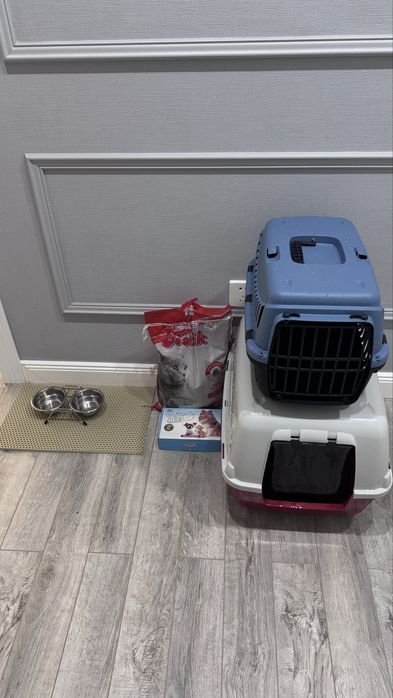 Кошачьи акссесуары