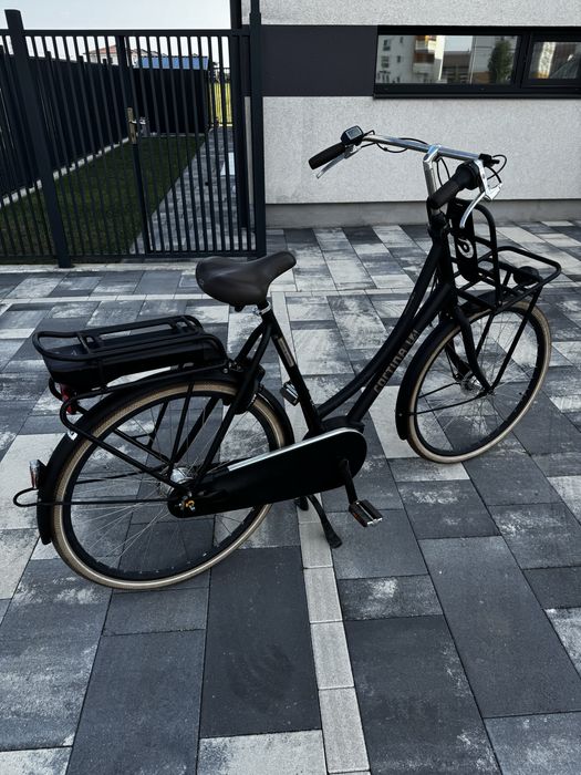 Bicicleta electrica cu incatcator Cortina