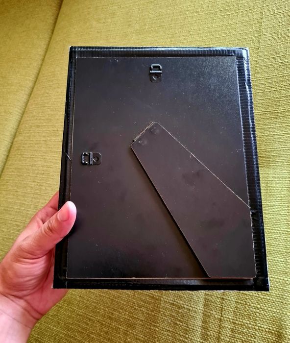 Fluturas Real Inramat Fluture Fluturi Reali Insectar Tablou