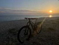 Trek fuel ex 7 2023   size L