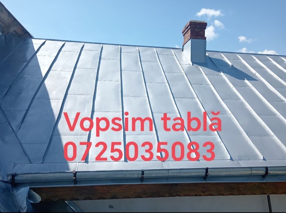 Vopsim tablă pe case garduri etc