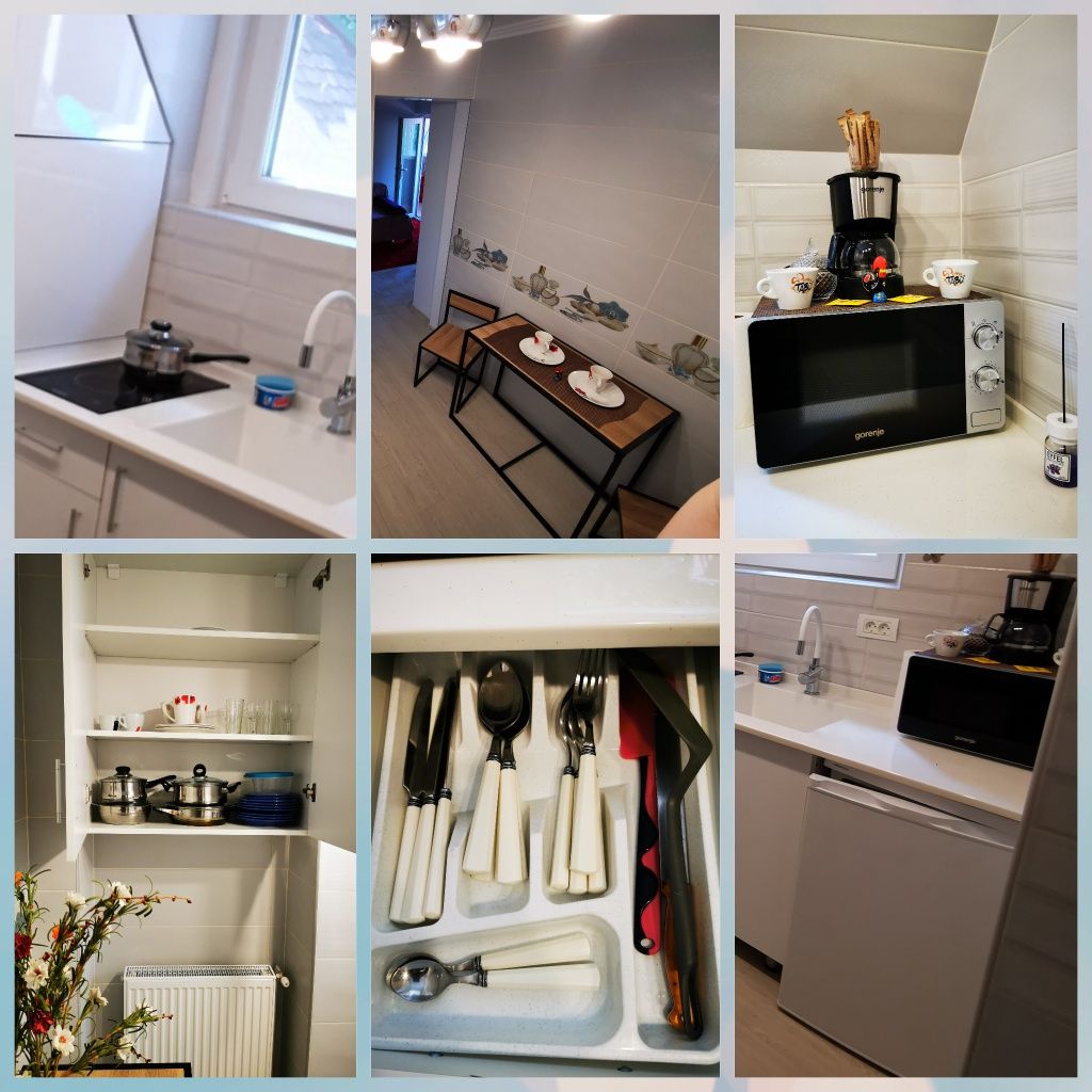 Cazez/Închiriez Apartament ,Ultracentral (Parc Ghica)