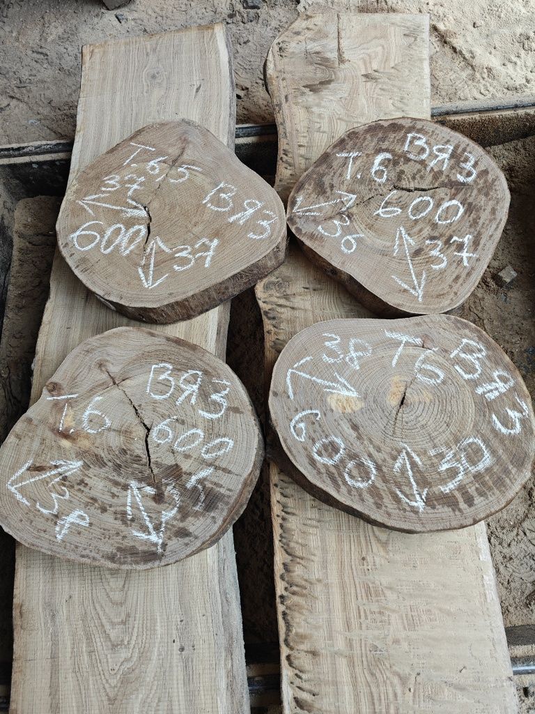 Продам торцевые спилы деревьев.