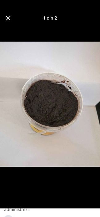 Magiun de prune românești