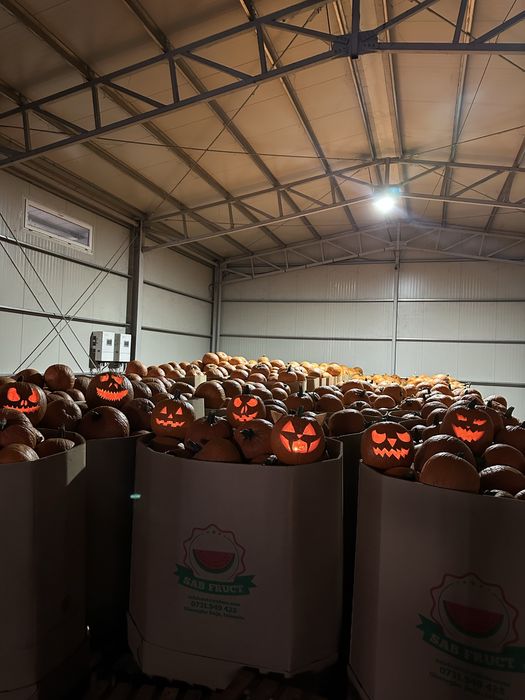 Dovleci Hallowee Kratos Gladiator – Varza de murat - Ceapa- placintari