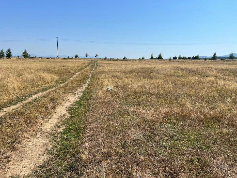 Vand teren Berivoi 4900 mp