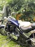 Kawasaki VN800 Classic Motor de colecție  idee de busines
