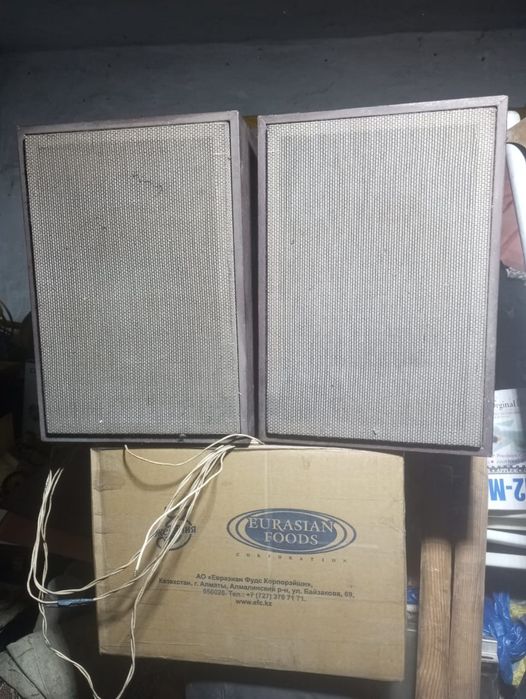 Акустические     Советские    колонки.