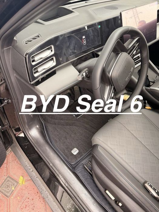 9D polik / коврики для BYD Seal 6
