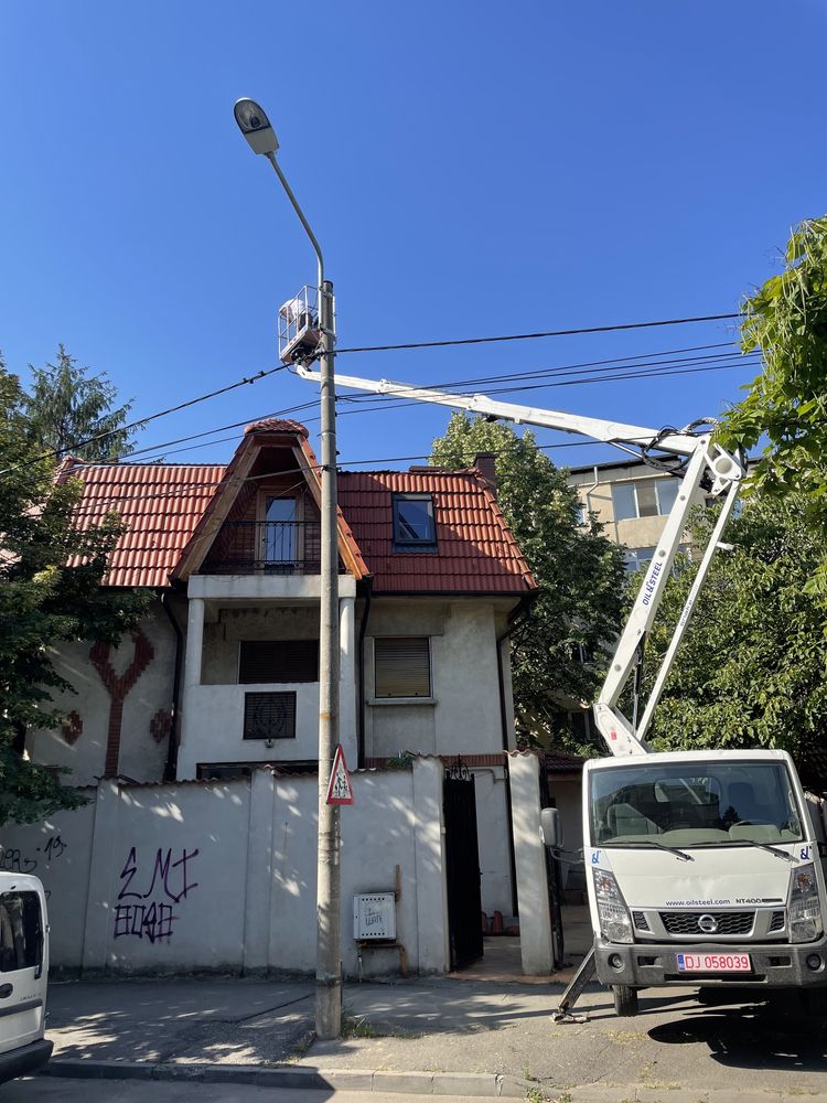Taiere copaci, Toaletare copaci, pomi periculosi