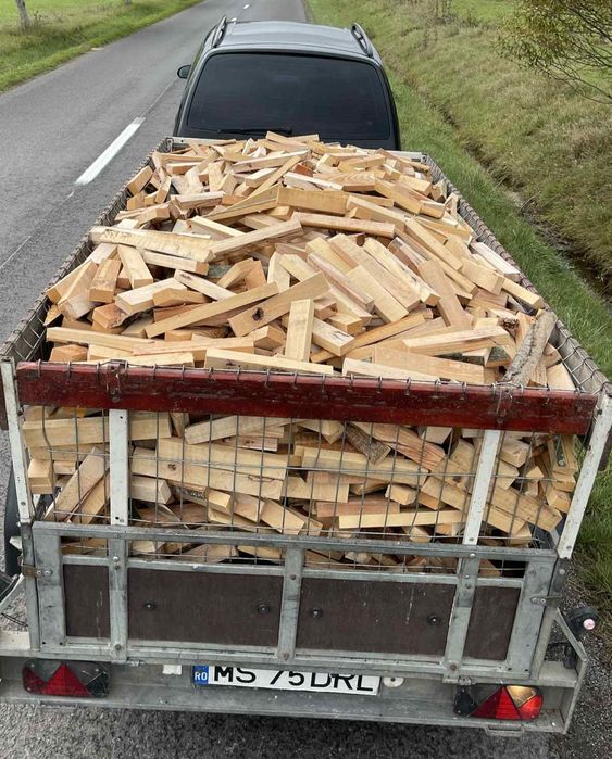 Vand lemne de foc esenta tare Fag Koka