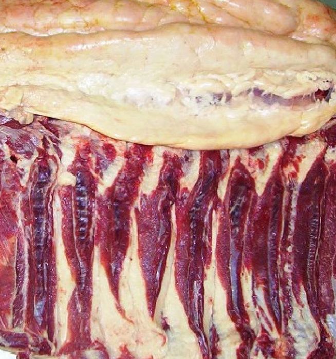 Продам конину 2700, Тушами Баянаул