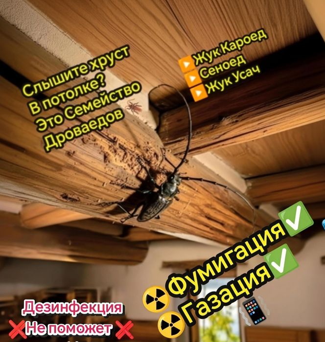 Фумигация+Газация 100% результат.Бөрене қытырынан.От хруста потолка