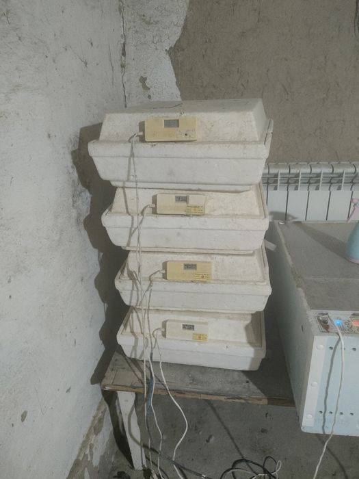 Инкубатор квочка