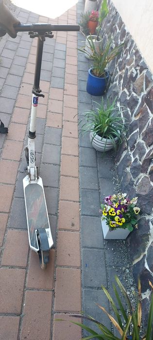Trotineta 200 lei